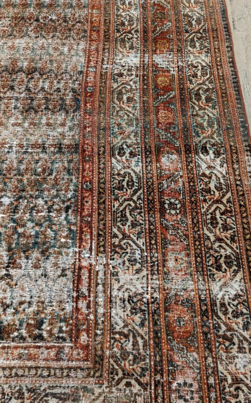 30620 MALAYER 8'0" x 18'6"