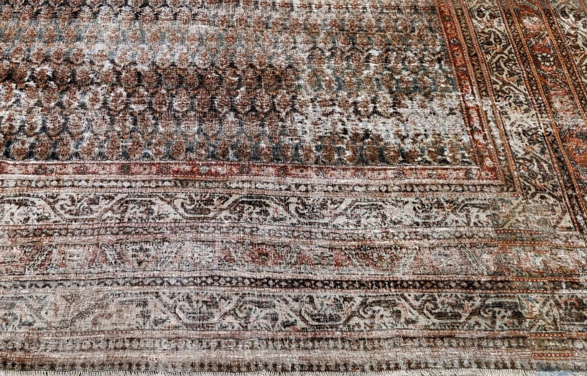 30620 MALAYER 8'0" x 18'6"