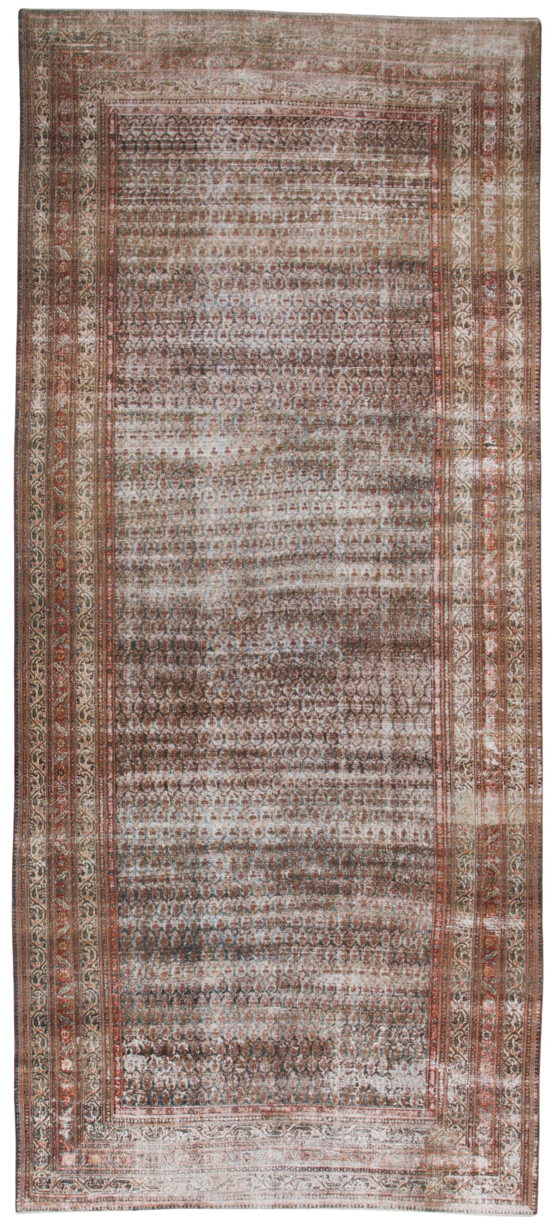 30620 MALAYER 8'0" x 18'6"