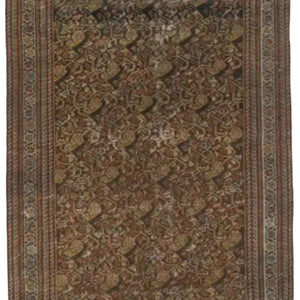 31722  MALAYER 3'4" x 10'1"