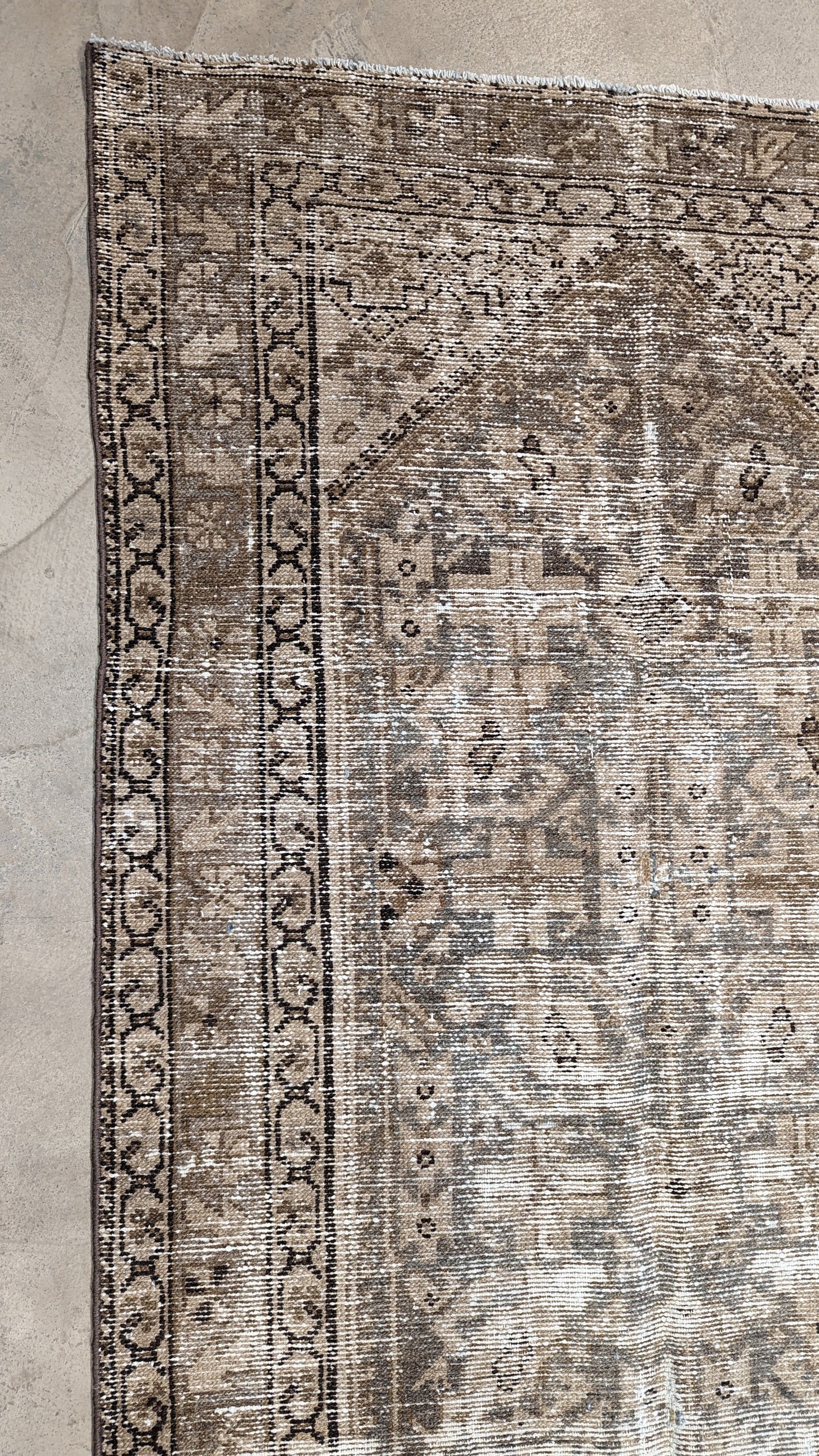 31731 MALAYER 3'3" x 11'6"