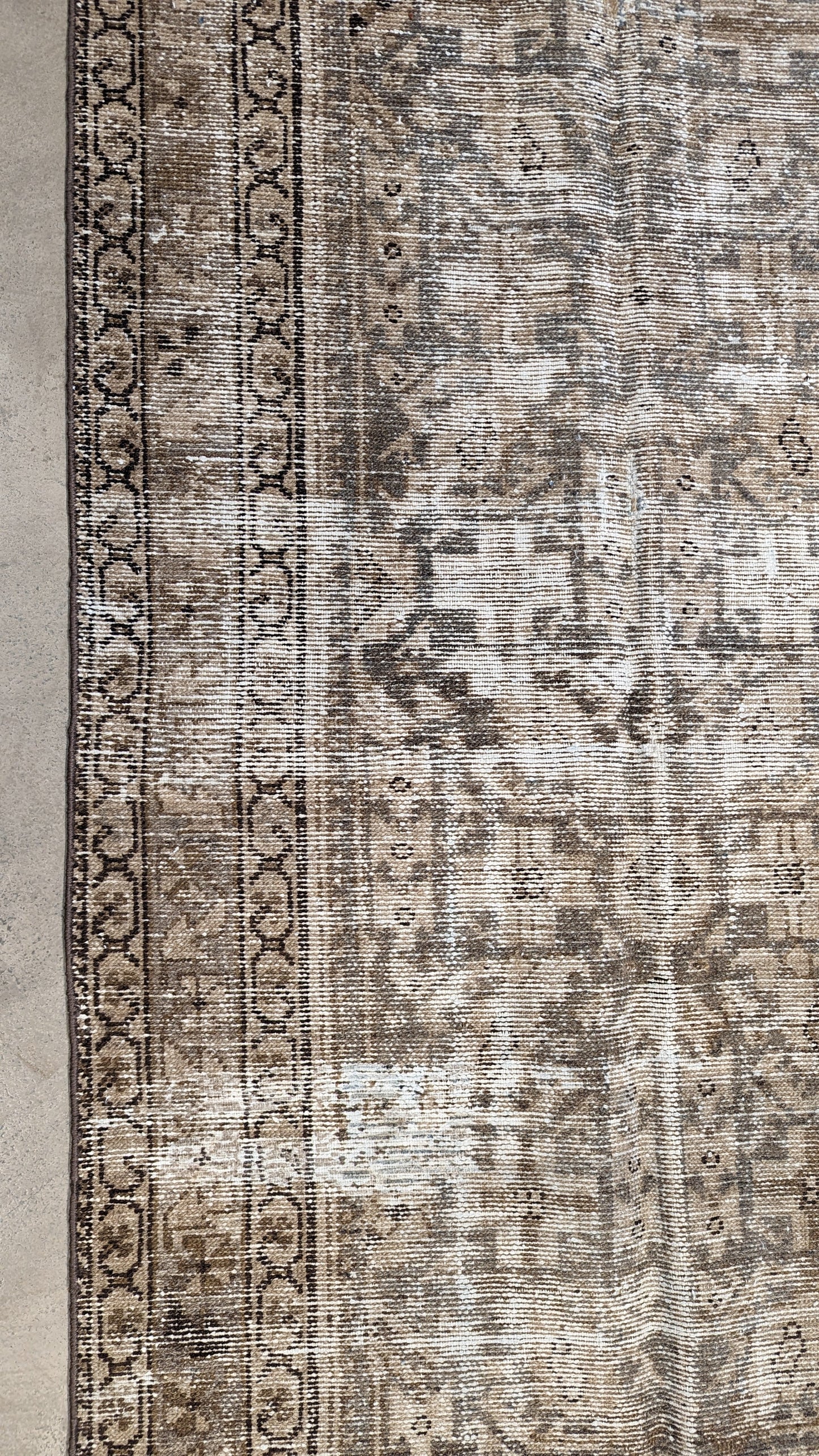 31731 MALAYER 3'3" x 11'6"