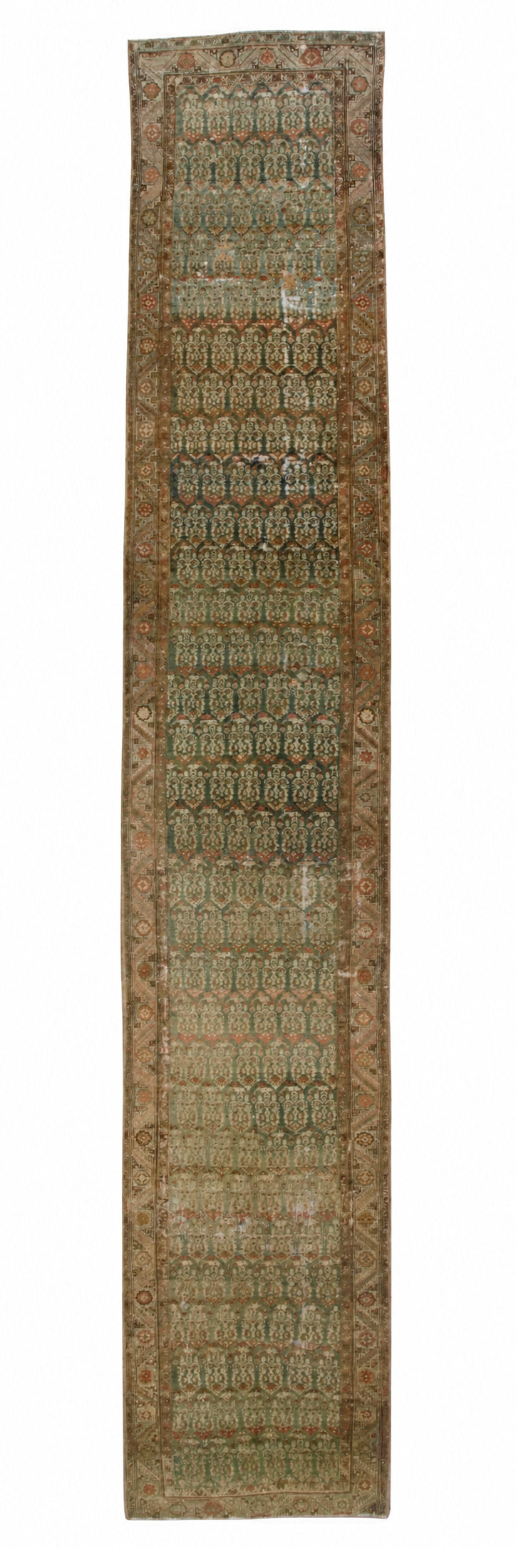 32158 MALAYER 3'0" x 16'6"