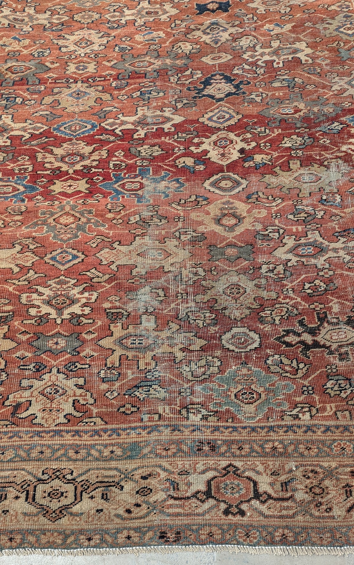 34434 MAHAL 8'11" x 11'2"
