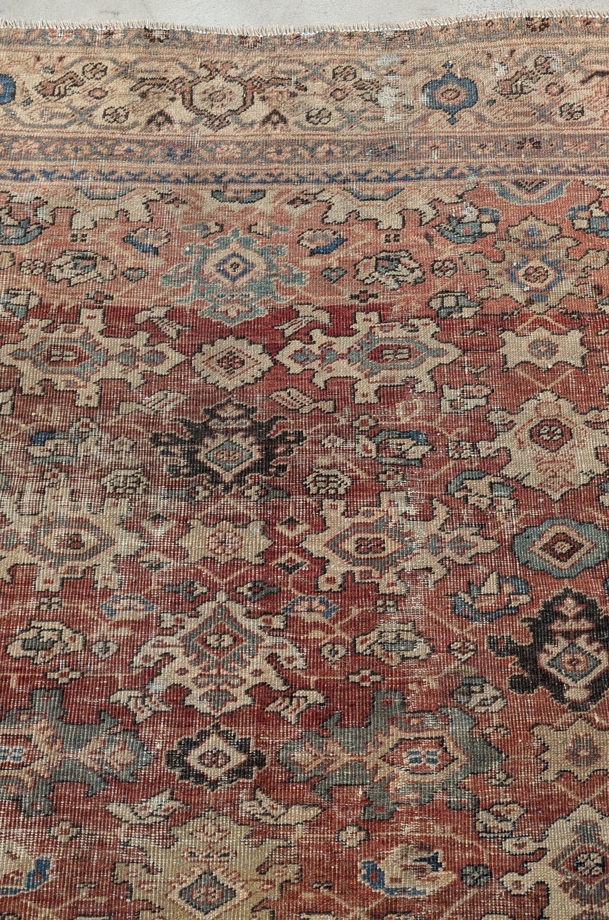 34434 MAHAL 8'11" x 11'2"