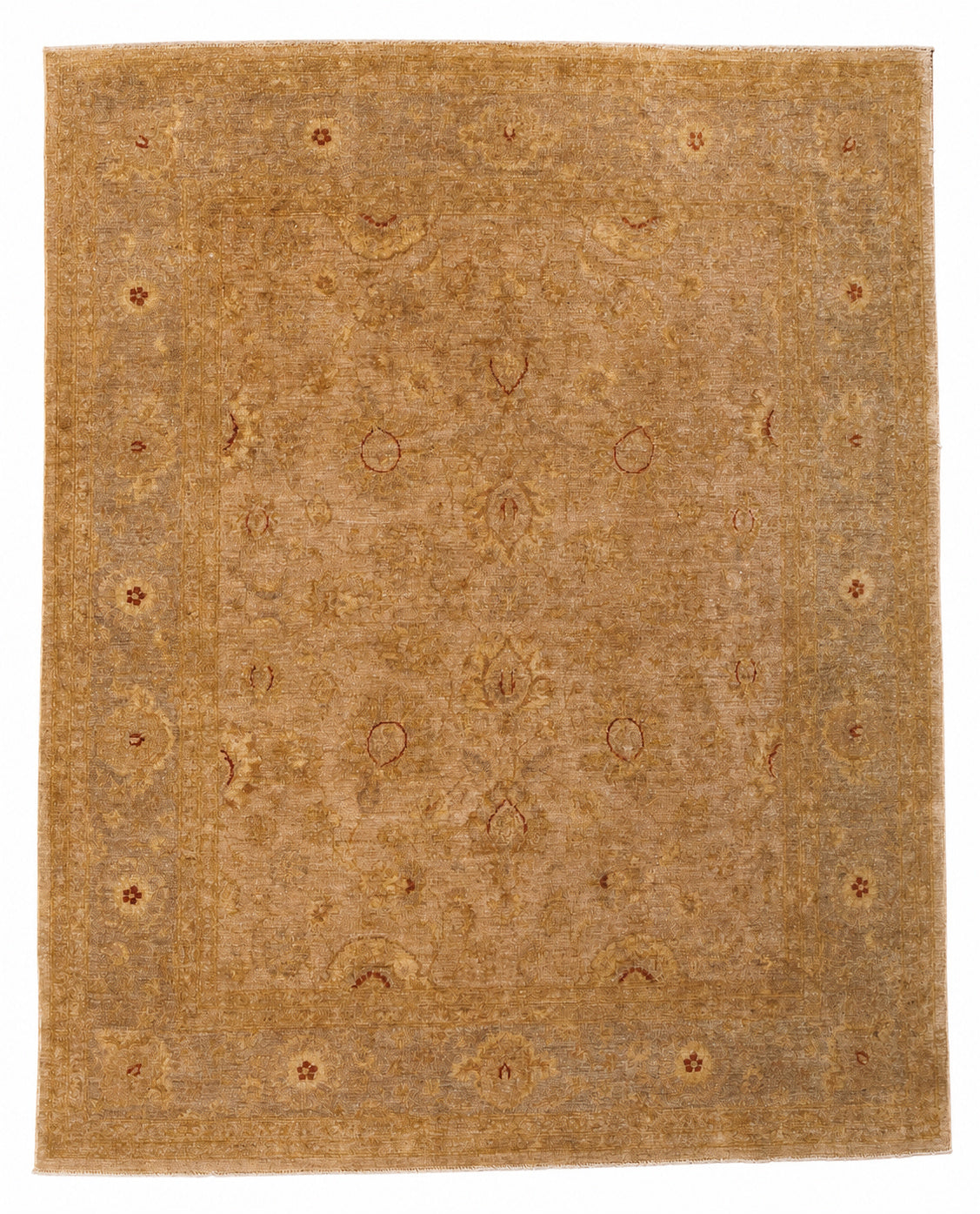 34520 PAKISTAN 8'0" x 9'11"