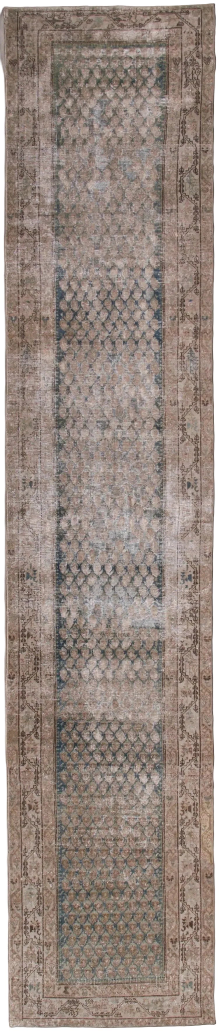 34622 MALAYER 3'2" x 15'9"