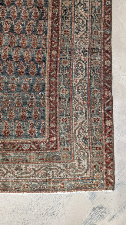 34627   MALAYER 3'2" x 15'2"