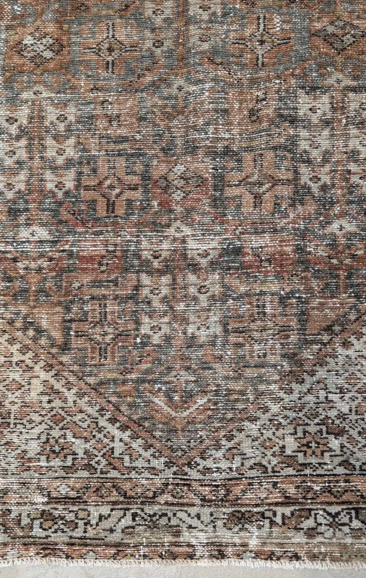34633 PERSIAN 4'1" x 6'1"
