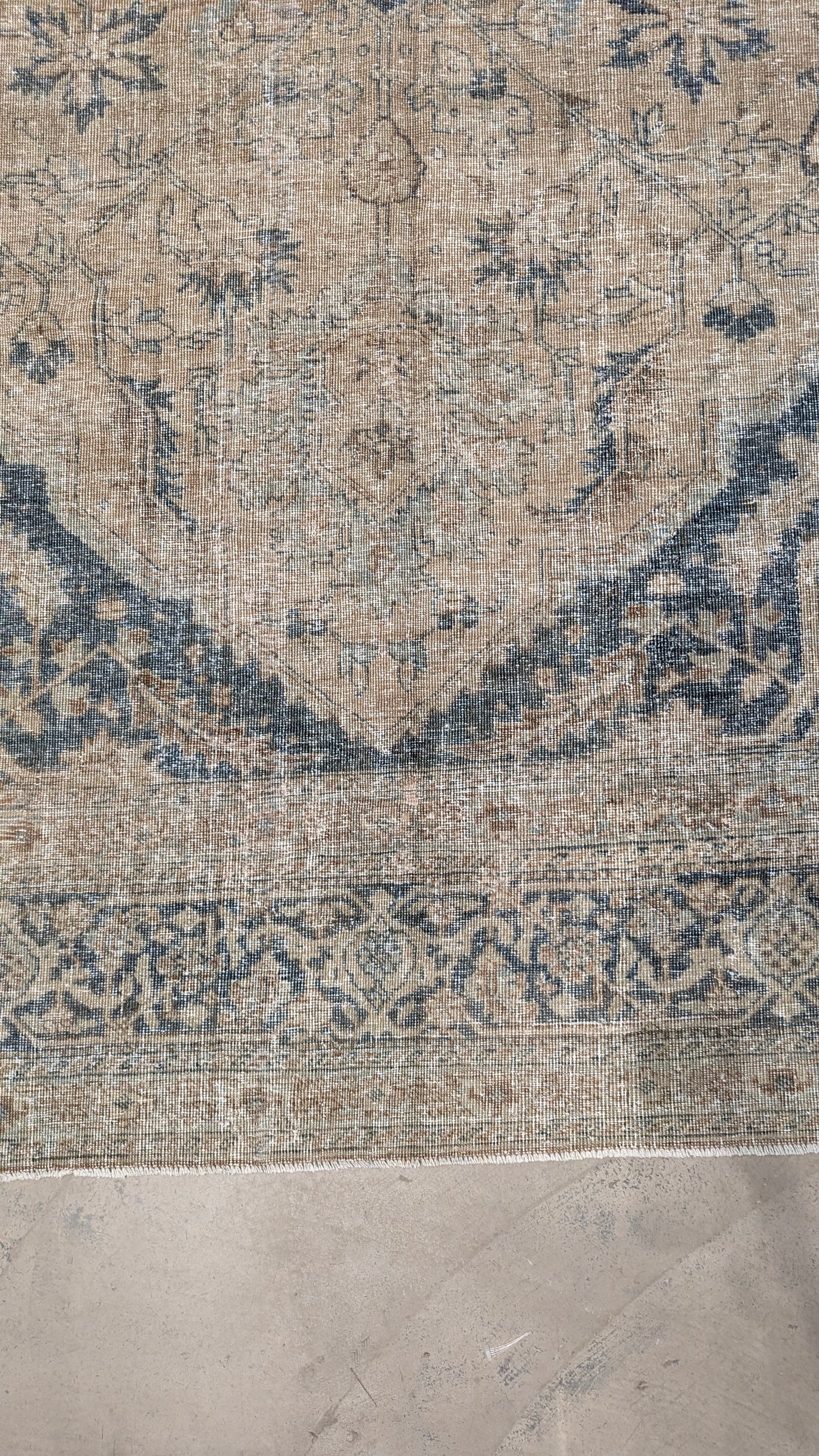 34999   TABRIZ   10'2" x 13