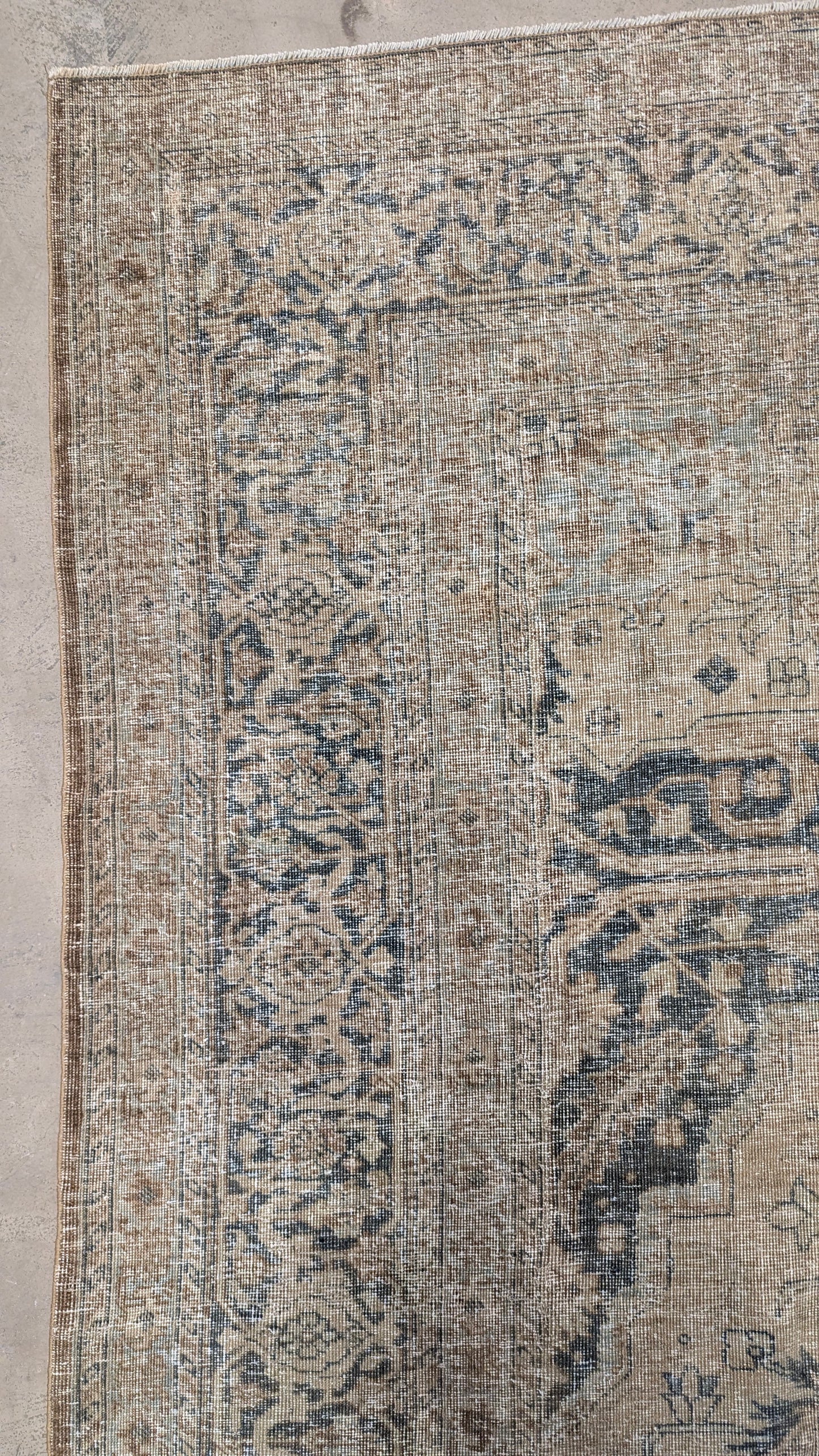 34999   TABRIZ   10'2" x 13