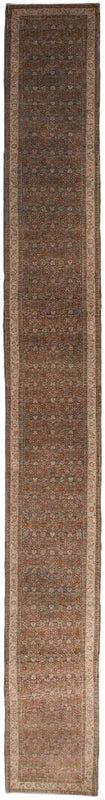 35222  BIJAR 2'11" x 24'4"