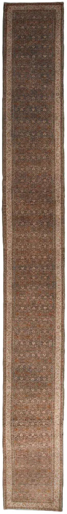 35222  BIJAR 2'11" x 24'4"