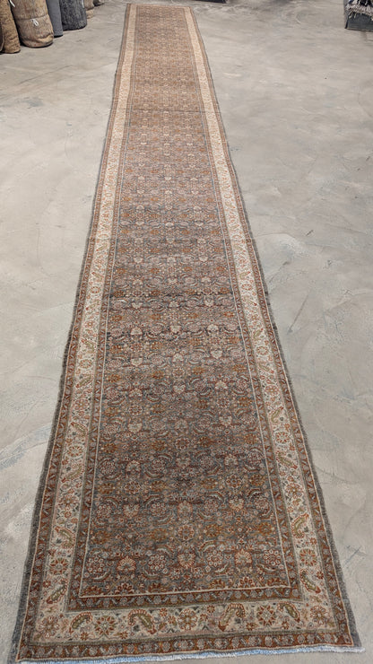 35222  BIJAR 2'11" x 24'4"
