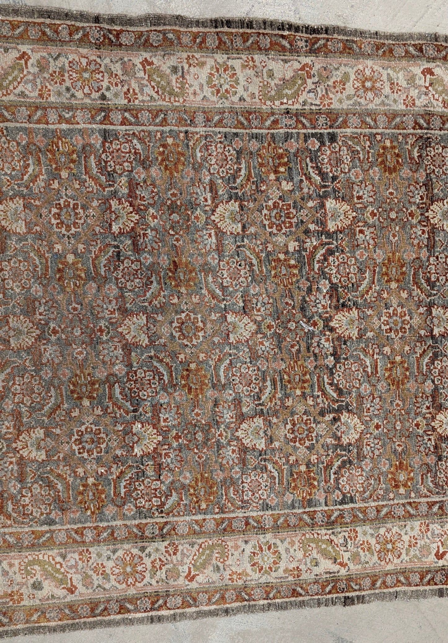35222  BIJAR 2'11" x 24'4"