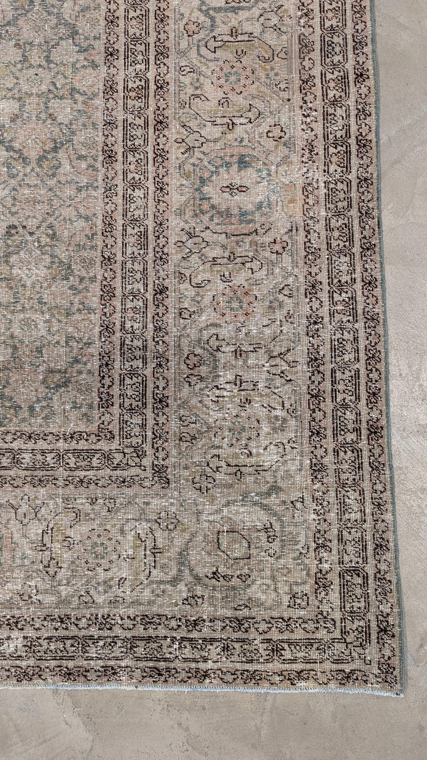 35235  TABRIZ 11'5" x 14'1"