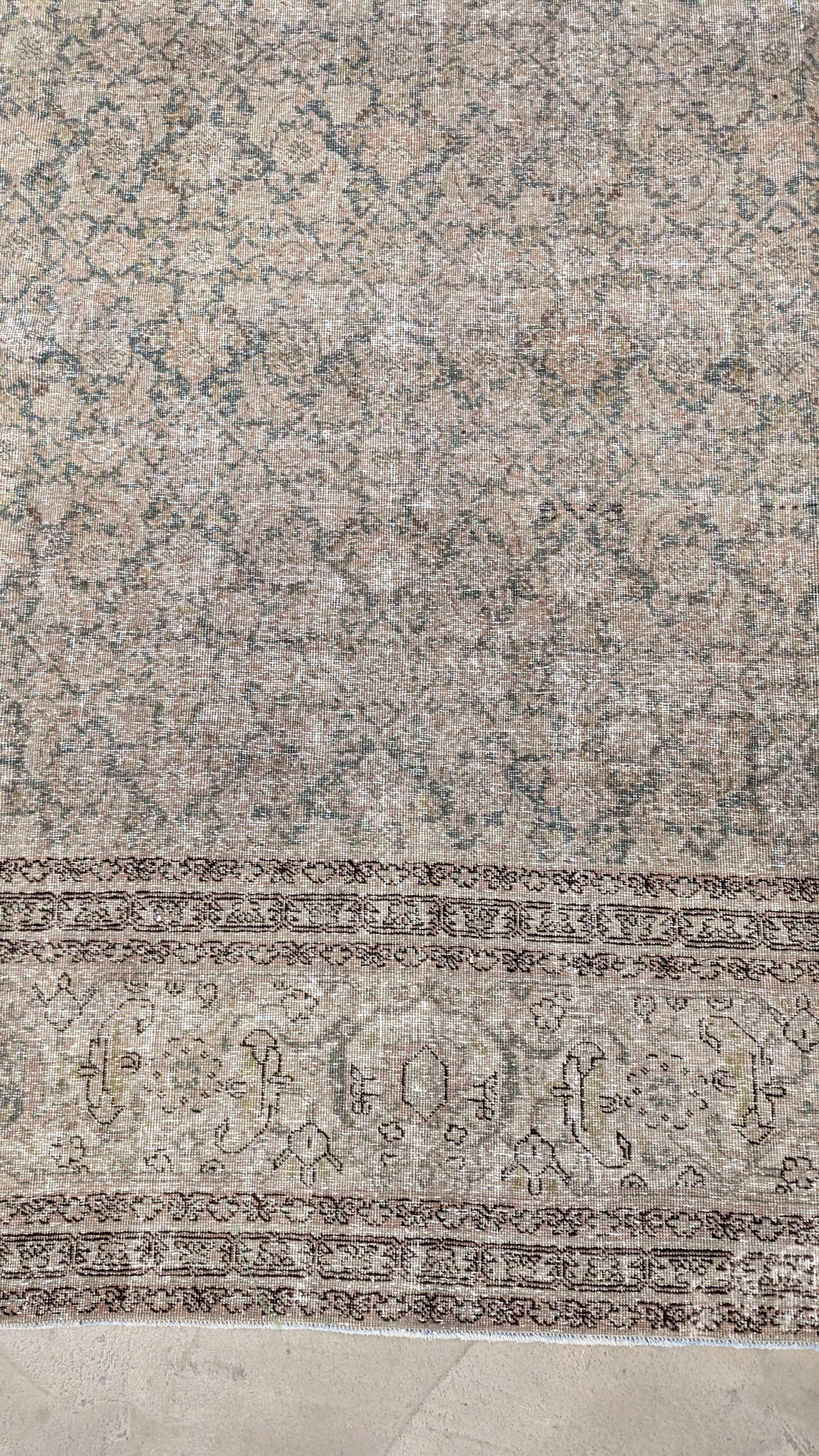 35235  TABRIZ 11'5" x 14'1"