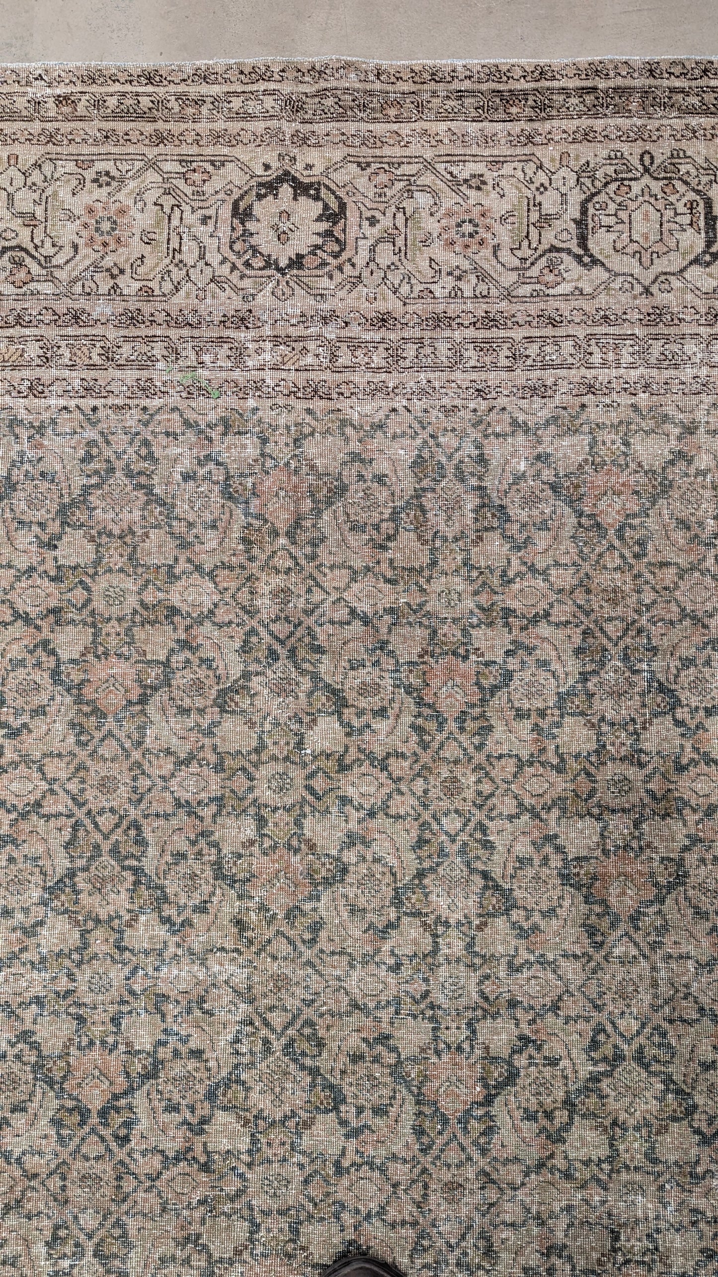 35235  TABRIZ 11'5" x 14'1"