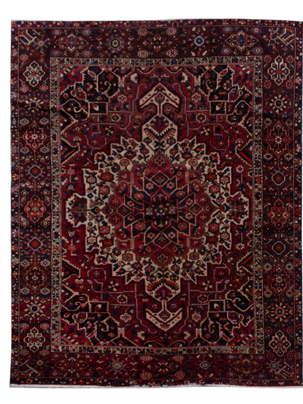 10007808 BAKHTIAR 9'10" x 12'0"