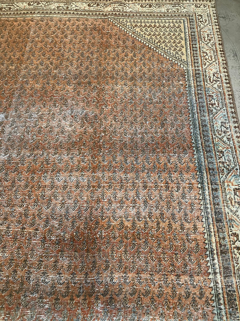 10022344 VINTAGE MALAYER