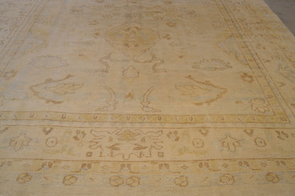 10012275 ANTIQUO 10'2" x 14'0"