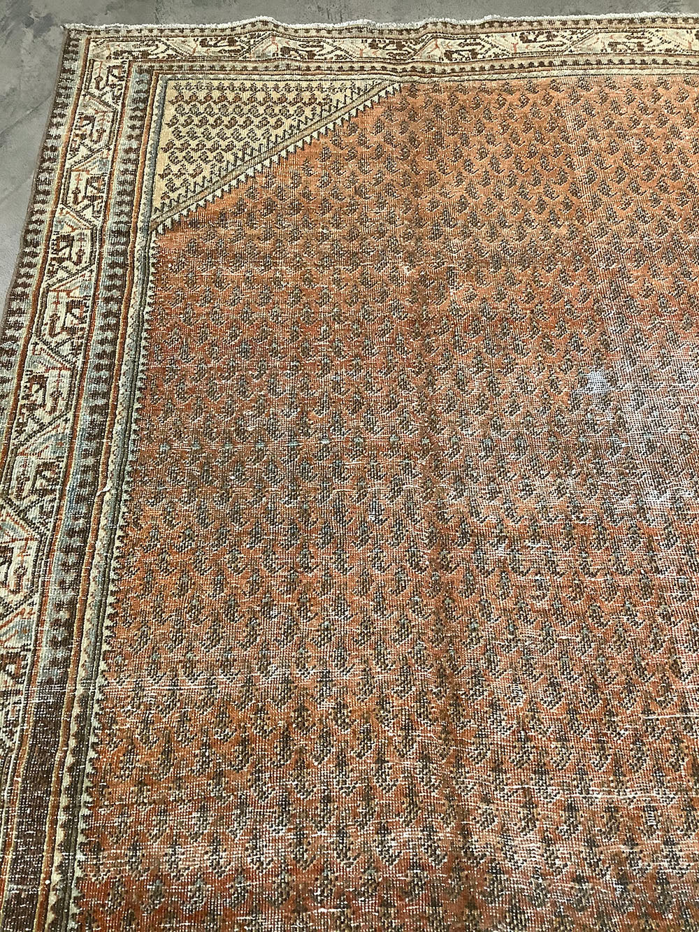 10022344 VINTAGE MALAYER