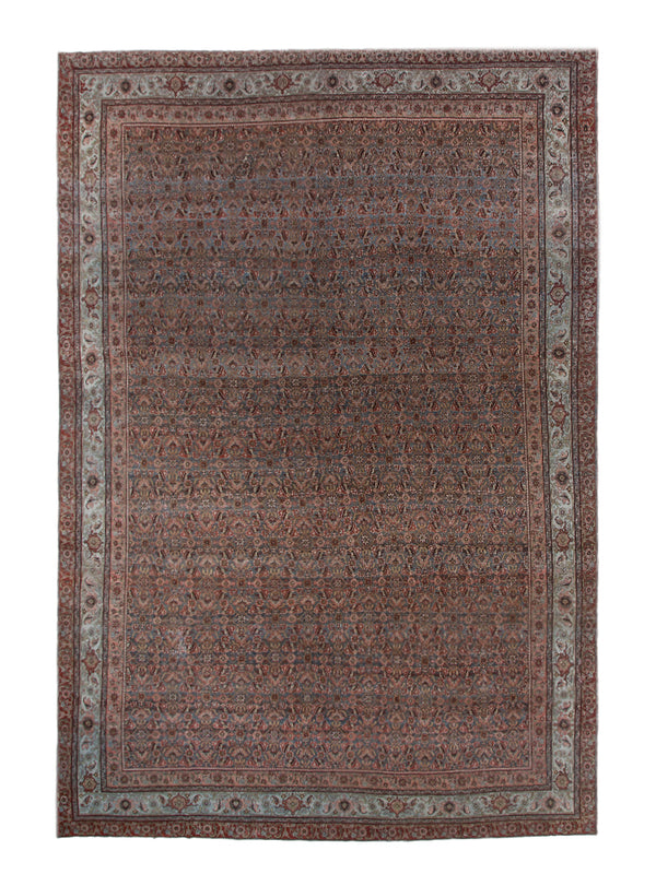 10028733 BIJAR 11'2" x 17'6"