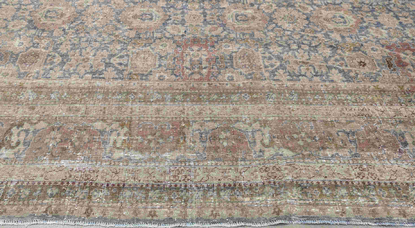 10033526 TABRIZ