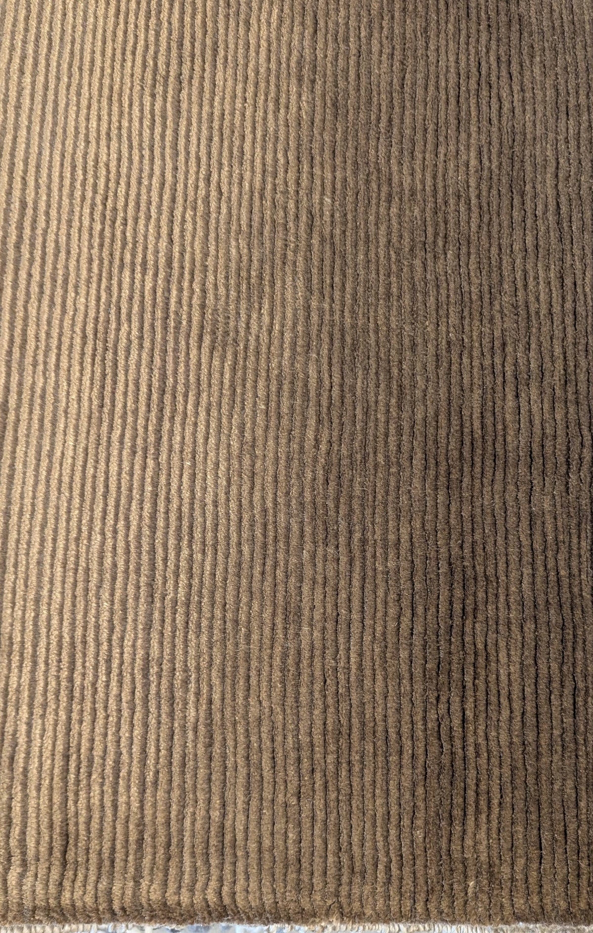 34575 MOHAIR AND SILK 9'11" x 14'2"